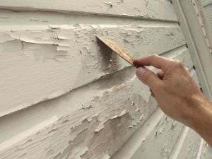 paintscrape