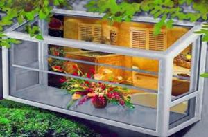 GreenhouseWindow