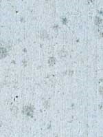 paint_exterior_11
