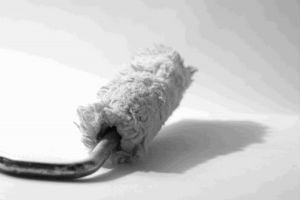 paintrollerwhite-resized-600