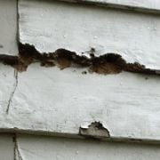 Wood Fiber Siding