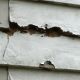 Wood Fiber Siding