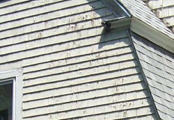 Fiber Cement Siding in Framingham, MA
