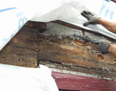 Roof Rot