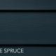 Blue Spruce