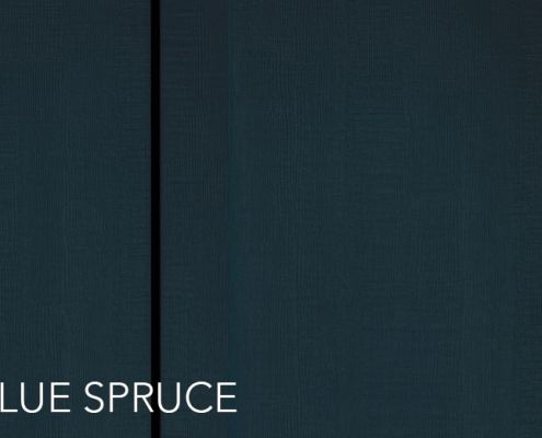 Blue Spruce