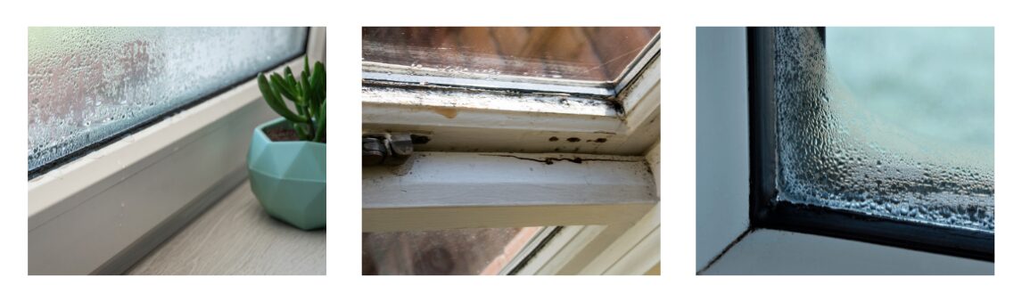 Window Seal Failure Old Windows - United Home Experts blog
