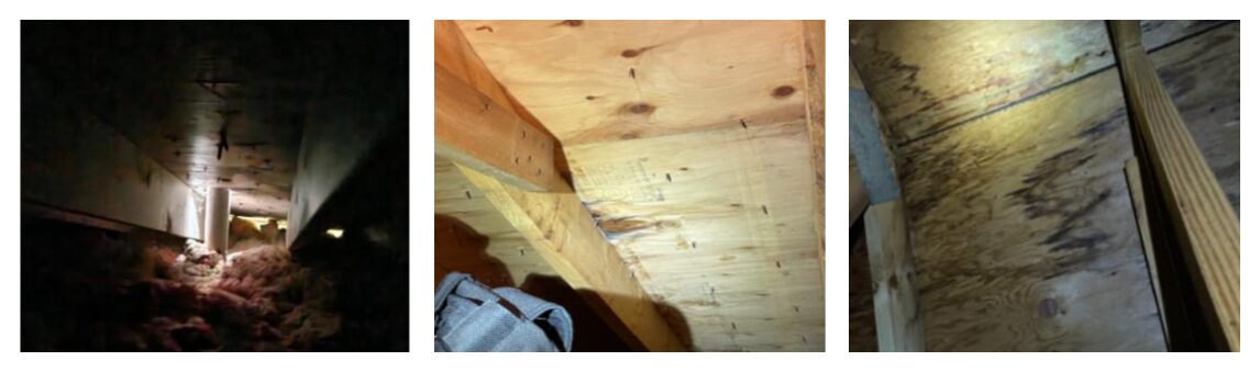 Roof Damage - Moisture